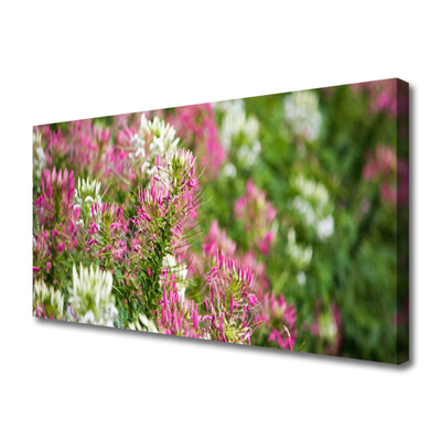 Photo sur toile Fleurs floral rose blanc vert