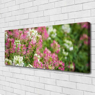 Photo sur toile Fleurs floral rose blanc vert