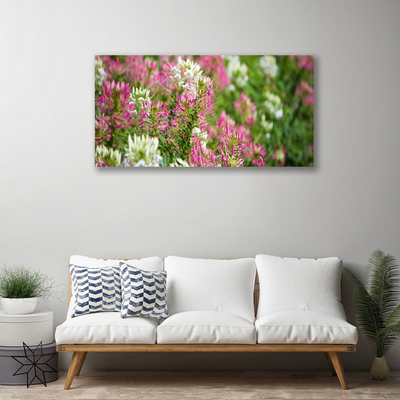 Photo sur toile Fleurs floral rose blanc vert