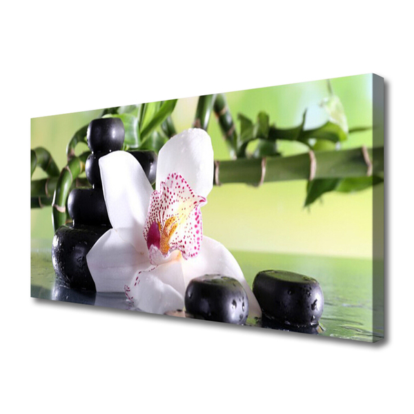 Photo sur toile Pierres fleurs bambou floral vert blanc noir