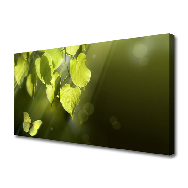 Photo sur toile Feuilles papillon nature vert