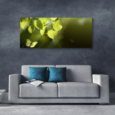 Photo sur toile Feuilles papillon nature vert