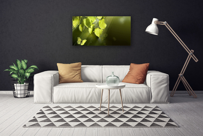 Photo sur toile Feuilles papillon nature vert