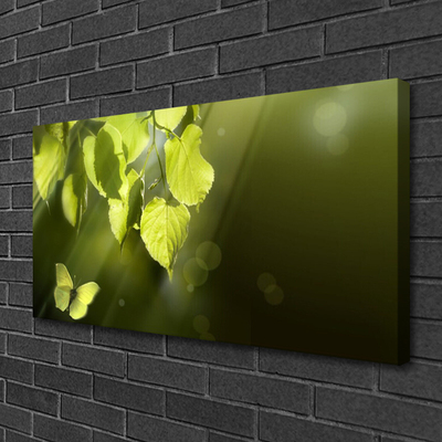 Photo sur toile Feuilles papillon nature vert