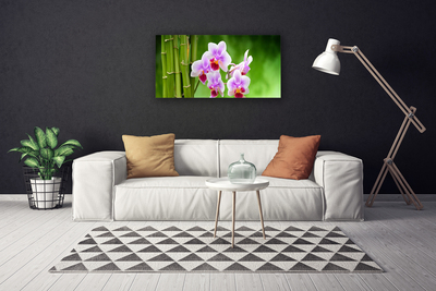 Photo sur toile Bambou fleurs floral vert rose