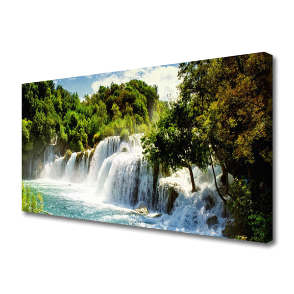 Photo sur toile Arbres cascade nature brun vert blanc bleu