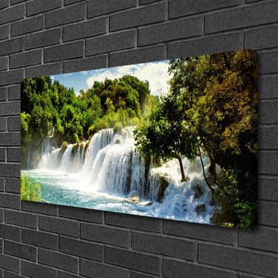 Photo sur toile Arbres cascade nature brun vert blanc bleu