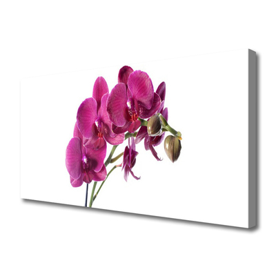 Photo sur toile Fleurs floral rouge