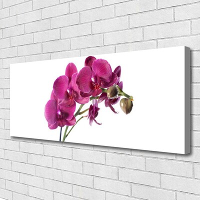 Photo sur toile Fleurs floral rouge