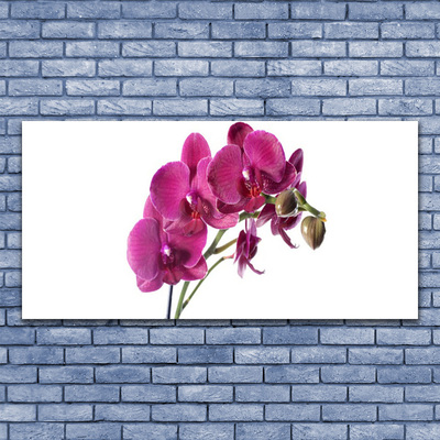 Photo sur toile Fleurs floral rouge