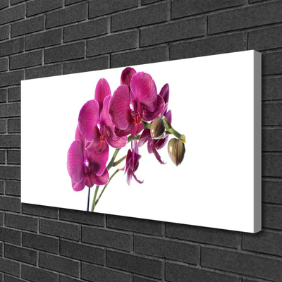 Photo sur toile Fleurs floral rouge