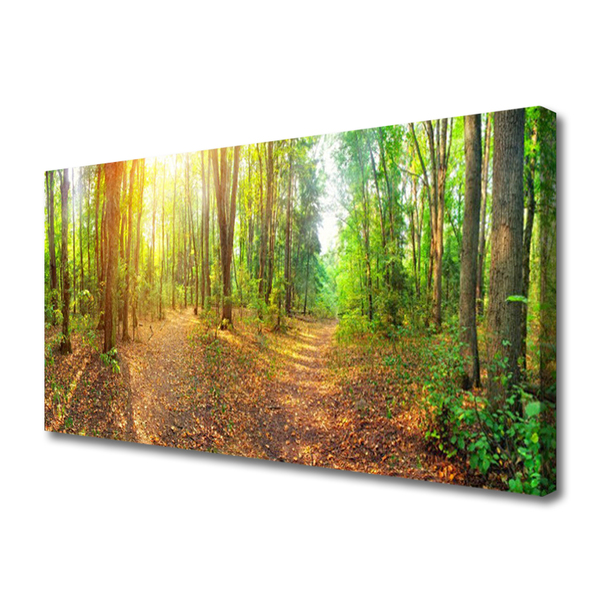 Photo sur toile Forêt nature brun vert