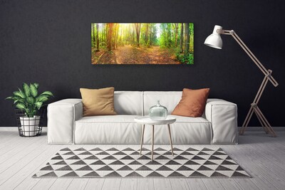 Photo sur toile Forêt nature brun vert