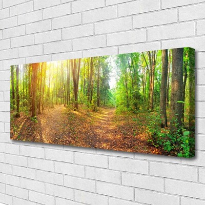 Photo sur toile Forêt nature brun vert