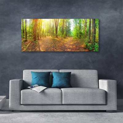 Photo sur toile Forêt nature brun vert