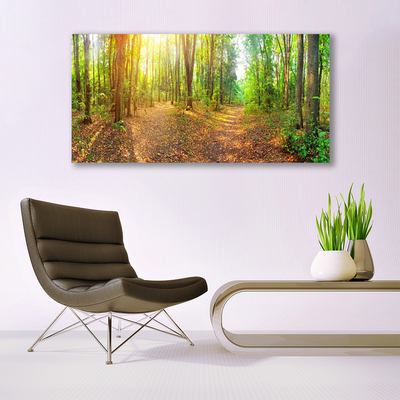 Photo sur toile Forêt nature brun vert