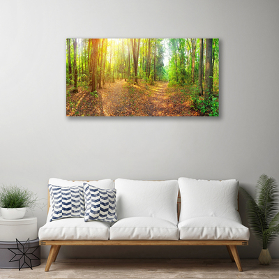 Photo sur toile Forêt nature brun vert