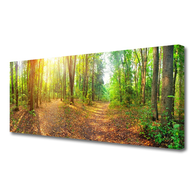 Photo sur toile Forêt nature brun vert