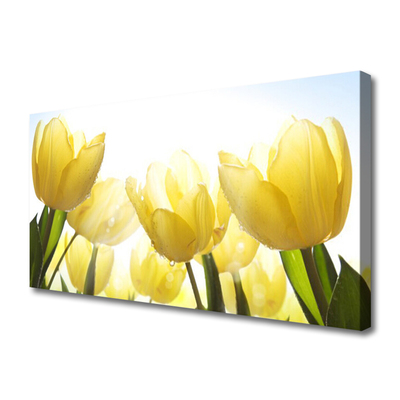 Photo sur toile Tulipes floral jaune