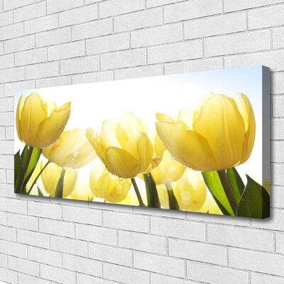 Photo sur toile Tulipes floral jaune