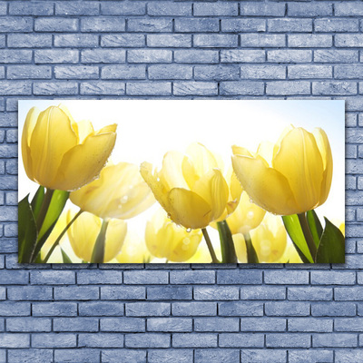 Photo sur toile Tulipes floral jaune