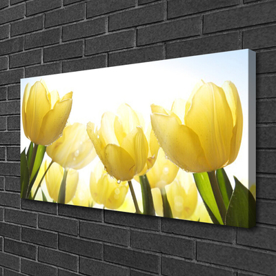 Photo sur toile Tulipes floral jaune