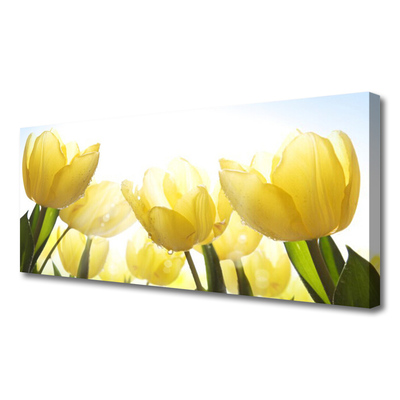 Photo sur toile Tulipes floral jaune