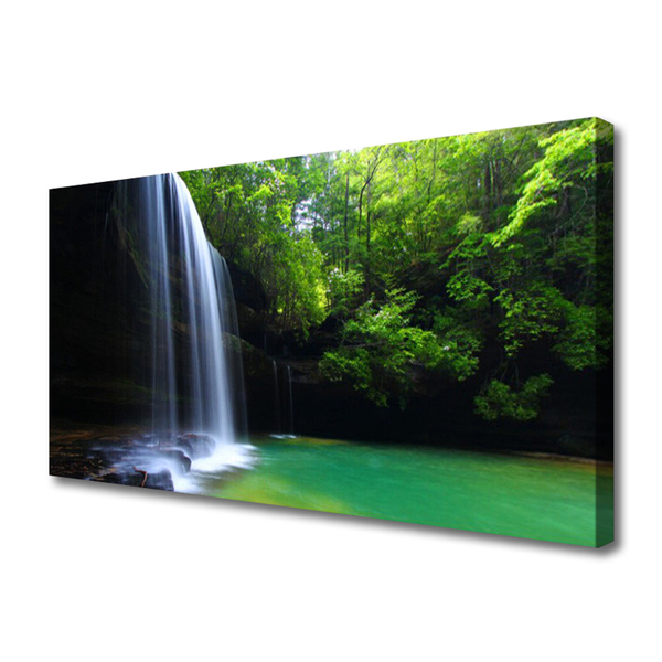 Photo sur toile Forêt chute d'eau nature violet bleu brun vert