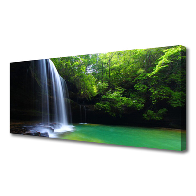 Photo sur toile Forêt chute d'eau nature violet bleu brun vert