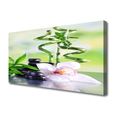 Photo sur toile Bambou pierres fleurs floral vert blanc noir