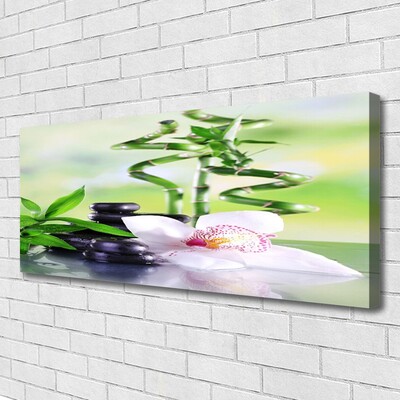 Photo sur toile Bambou pierres fleurs floral vert blanc noir