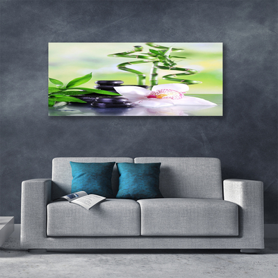 Photo sur toile Bambou pierres fleurs floral vert blanc noir