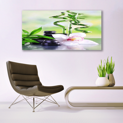 Photo sur toile Bambou pierres fleurs floral vert blanc noir