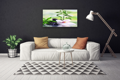 Photo sur toile Bambou pierres fleurs floral vert blanc noir