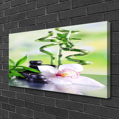 Photo sur toile Bambou pierres fleurs floral vert blanc noir