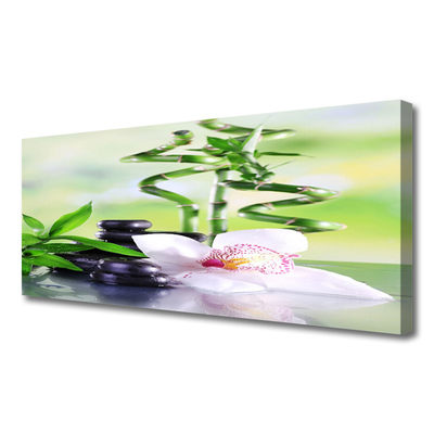 Photo sur toile Bambou pierres fleurs floral vert blanc noir