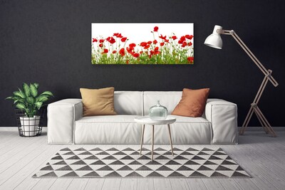 Photo sur toile Coquelicots prairie nature vert rouge