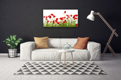 Photo sur toile Coquelicots prairie nature vert rouge