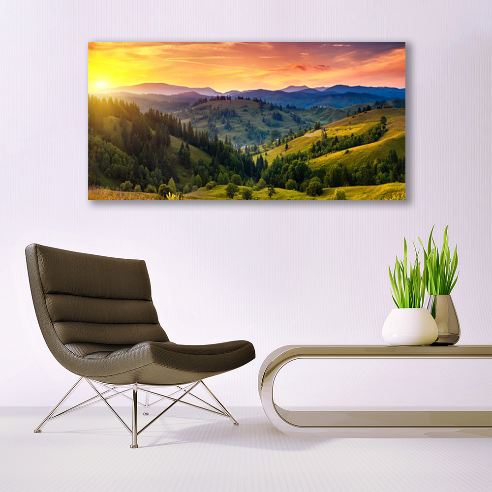 Tableau bois montagnes enneigées et prairie colorée 2 | Leroy Merlin
