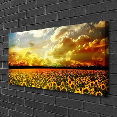 Photo sur toile Tournesol prairie floral jaune brun