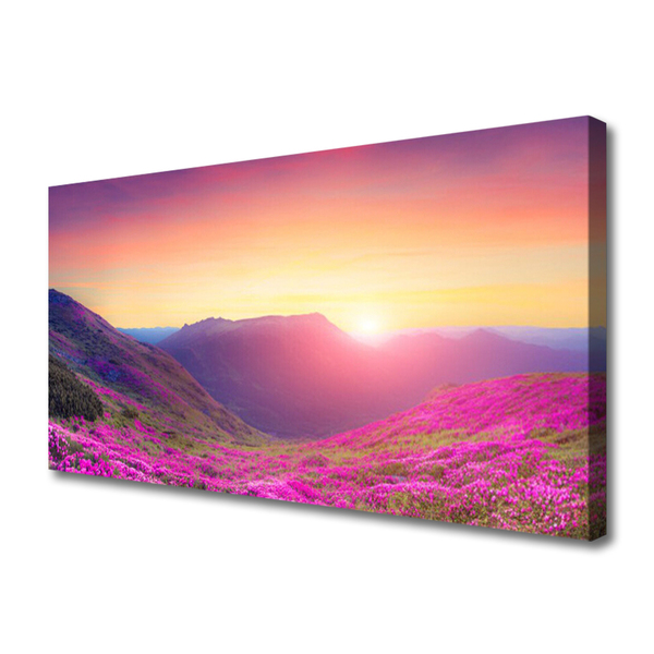 Photo sur toile Montagne prairie nature jaune bleu vert rose