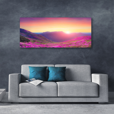 Photo sur toile Montagne prairie nature jaune bleu vert rose