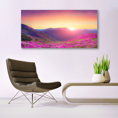 Photo sur toile Montagne prairie nature jaune bleu vert rose