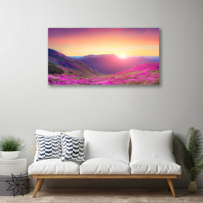 Photo sur toile Montagne prairie nature jaune bleu vert rose