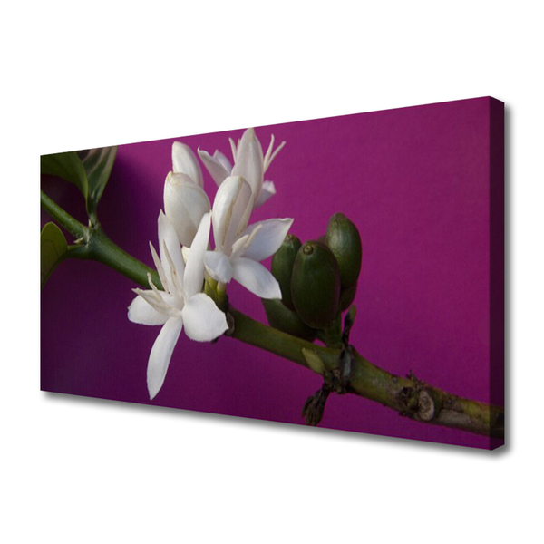 Photo sur toile Fleur floral blanc vert