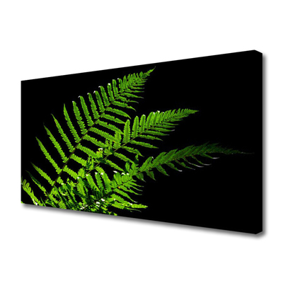 Photo sur toile Feuilles floral vert