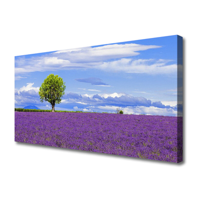 Photo sur toile Arbre prairie nature brun vert rose