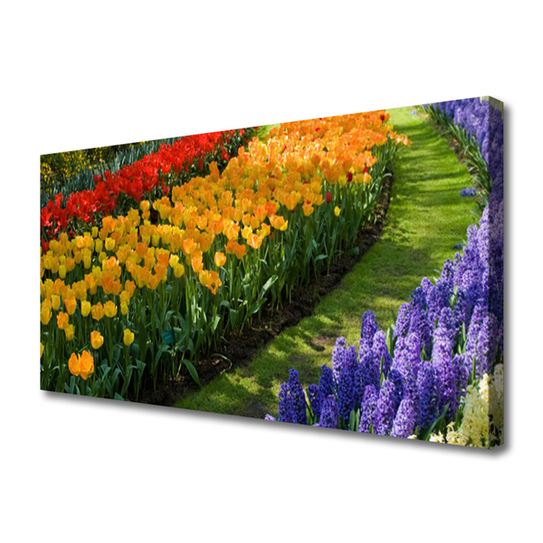 Photo sur toile Fleurs floral vert rouge jaune violet