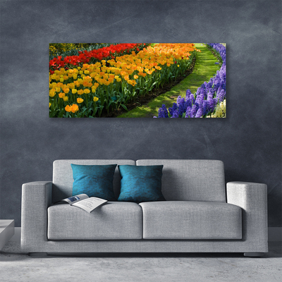 Photo sur toile Fleurs floral vert rouge jaune violet