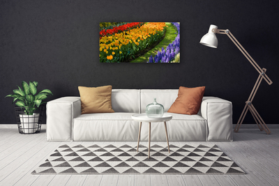 Photo sur toile Fleurs floral vert rouge jaune violet